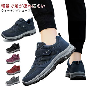 ʋC V[Y EI[LOV[Y Y C y fB[X nrC ~ Xj[J[ җpV[Y xN ₷ hV VjA