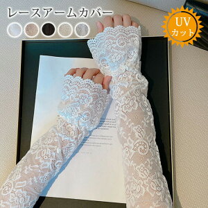 [X A[Jo[ fB[X    rJo[  ʋ ʊw ^] AEghA X|[c ] ̎q Ђ  Ăh~ UVJbg O΍ ~ 