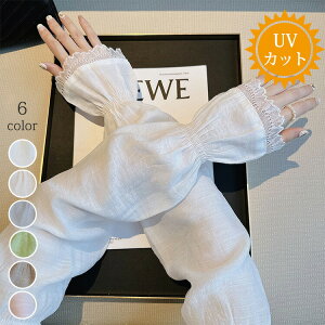 A[Jo[ [X  Ђ Ăh~ UVJbg rJo[ fB[X  ̎q   ~ ʋC Lk _炩 t  ʋ ʊw ^] AEghA X|[