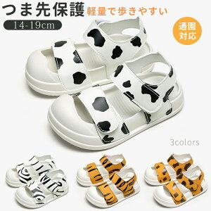 LbYT_ ܐ悠 T_ xr[T_ ܐی X|[cT_ qC j̎q ̎q ܐK[h y ɂ V[Y t  ~ ʉp Ȃ 14 15 16 17 1