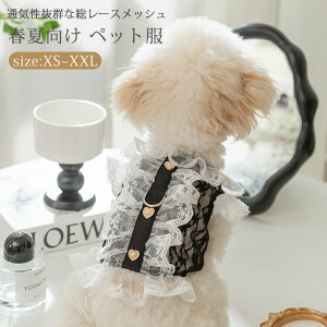  [X n[lX tH[} ؂₩ t hbOEGA L ybgEGA  ʋC bV _炩 h~  ^ ^ U o  EFAn[lX 