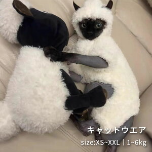 L XtBNXL LbgEFA  ӂӂ {A ArVjA f{bNX _炩 g ybg  R[jbVbNX s[^[{[h o RjX