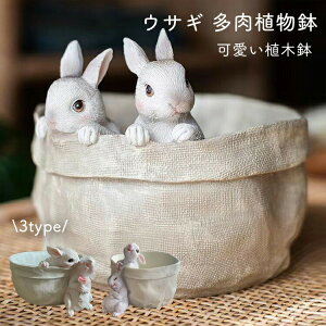 A  Aؔ |  ETM ~j   RPE O  ƒp ϗtA v^[ t[|bg |pi G CeA AEghA DIY  k 