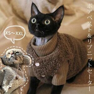 LbgEFA {AxXg Z[^[ Zbg CX^f H ~   V XtBNXL EȒP _炩 L  ybg  Z[^[ ujbg ArVjA 