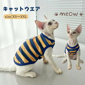 LbgEFA  XgCv oCJ[  L _炩  [EFA CX^f f{bNX XtBNXL ArVjA ybgEFA ^Ngbv t  H 