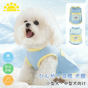   ^Ngbv  Ђ N[EFA ʋC K   ^ ^ ΍ 悯 _炩 bV xXg ڐG⊴ U o hbOEFA LbgE