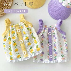 t ybg ^ ^  ԕ L~\[ t  m hbOEFA SNSf LbgEFA  L t ʋC  EȒP Be ʐ^ INS  _炩 L~ XS S M L 