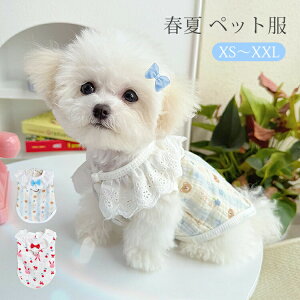 t ybg  [X t ^Ngbv ^ ^ m  ʋC  DOt  ʐ^ ins hbOEFA LbgEFA L ё΍ ԕ xXg EȒP U