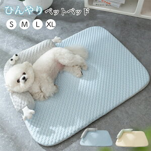 p ybgxbh ⊴Q}bg ybg}bg ybgp Ђ}bg ybgNbV \t@[ t ̂ 􂦂  ڐG⊴ ybgpbNXxbh MǑ΍ NbV