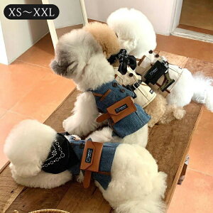 ybg IV xXg XJ[g tH  ؍ ^ ^  h  L 킢 ʐ^Be SNSf LbgEFA hbOEFA U o [EFA EȒP ㉺Z