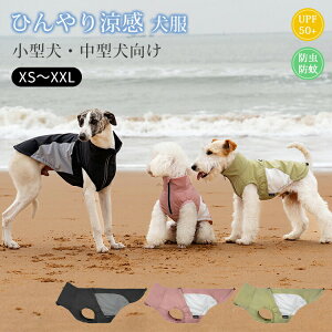  N[EFA Ђ  bV xXg h ʋC K  ^Ngbv ybg ^ ^  hbOEFA ΍ 悯   _炩 ڐG⊴ U 