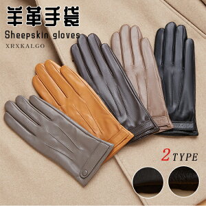 yX}zΉz fB[X ^b`XN[Ή v O[u U[ {v Ԃ   2^Cv U[O[u {vO[u 킢 p U[ g h  