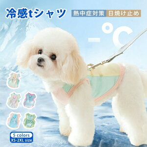  ĕ Ђ ^Ngbv ڐG ⊴ N[ ⊴ ʋC 悯 uvJbg MǑ΍    ^ gbvX Jt 킢 hbOEFA ybgEFA єh~ 