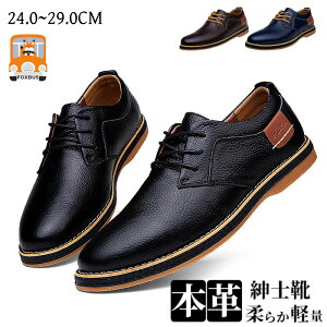 U[rWlXV[Y Y tH[} JWA  ʋ΂ [XAbv V[gu[c vC 傫TCY ̓ Mtg