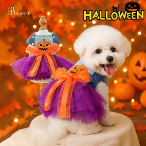  nEB s[X ѕt J{` hX XJ[g ^ ^ ڂ nEB RX`[ q ybg hbOEGAm m L  ` gCv