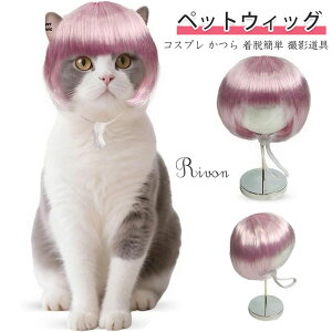 ybgEBbO  L ybgp Xq 蕨   L nEB Jc p[} At ObY ϑ ϐg Be o| U EȒP ʔ ڂɗ ΂  R