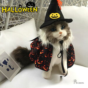 _Xq+ց^nEB RXv  ڂ   ϐg RX`[ L   ߑ ybgϐg  nEB Lp nEB ybg  ϐg nEB[ ߑ ybg 