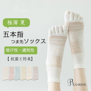 _Iׂ3Zbg ^ɔ\bNX ܖ{w fB[X ʋC ~ ėp C ܖ{w \bNX Ԃ X|[cp Ȃ EȂ Xj[J[\bNX    