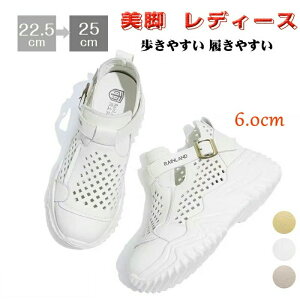 Xb|fB[X Xj[J[  6cmgAbv _bhXj[J[ bV VvJWAV[Yy _炩 ɂȂ  ʋ ʊw ig ̃Xj