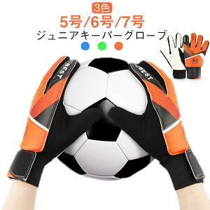 TbJ[ WjA tbgT LbY L[p[O[u tbgTO[u TbJ[O[u N Kp g[jO S[L[p[ L[p[O[u WjA L[p[O[u L