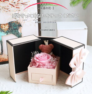 2025NV쏬F[YtWG[{bNXMtgblbNXbvEiԃn[g^v[gMtg /v[g /TvCY / /ʐ^f /y o^C /z