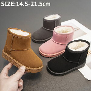 LbY [gu[c ̎q j̎q EB^[u[c ~pu[c xr[ ȌC C ~ ӂӂ g Xm[u[c ~C h {Au[c H ~ ct w Oo ʉ ʊw N