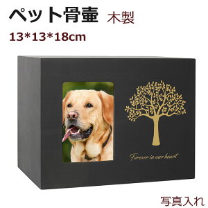 ybg ybgp  d  ybg D   ⍜ ؐ 茳{ F e i [ tHgt[t ybg  L ETM nX^[  D ybgdp [