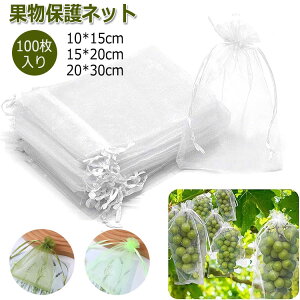 ʎ ʕیobO ʎ 100Zbg h h lbg ƒ؉ hlbg |lbg ʕ یlbg Q ʋC ʉ bVobO |H  C`S ~j 