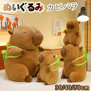 Jso ʂ 30 40 50cm lC  ʂ  xbh ߋ ӂӂ ̎q j̎q 킢 Mtg  CeA 傫 ʂ ӂӂ Jsoʂ u