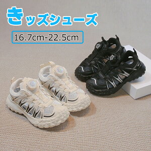 y_CzLbY T_ ₷ ʊw w Z K[Y ig p r[`T_ X|[c ̎q j̎q WjA  NbV Ȃ IV  