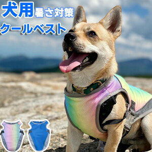 N[xXg  ybg ЂxXg ⊴N[ ΍ U o K p⊴xXg ΍ Ђ  p ₷ Xq N[ ⊴ xXg N[EFA U Ăh