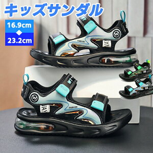 LbY T_ X|[c j̎q WjA  NbV }WbNe[v Ȃ IV  ₷ ʊw w Z K[Y ig r[`T_ qC ėp A