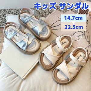 LbY T_ ̎q K[Y ig r[`T_ qC ėp AEghA WjA  NbV }WbNe[v Sf Ȃ IV  ₷ ʊw w