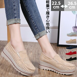 JV fB[X ؂ JVV[Y Xj[J[ ̎q r  t y V[Y 5cm {v T_ XEF[h C ʋC  킢 _炩 K 傫TCY Rt