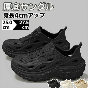 T_ Y fB[X  r[`T_ X|[cT_ V[Y 4cm JWA EH[LO  j  y gAbv ʋΗp ^C EVA ItBX Mtg 