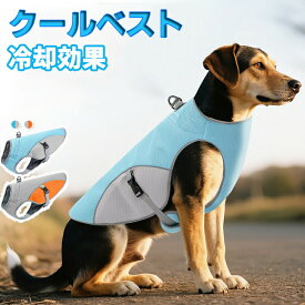 クールベスト 犬 ペット 冷感クール 対策 散歩 お出かけ 快適 犬用冷感ベスト 暑さ対策 ひんやり 夏 犬用 冷やす 帽子 クール 冷感犬服 ベスト クールウェア お散歩 日焼き防ぐ 冷感 グッズ 通気 冷却 涼しい 体温調整 熱中症対策 ベスト 夏服 冷却ベスト犬