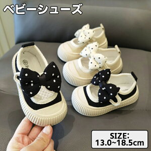 xr[V[Y ̎q t@[XgV[Y ԂC Xb| LoX YbN 㗚 qC  t  H ₷ xr[C y IV ct ʉ [V[Y 