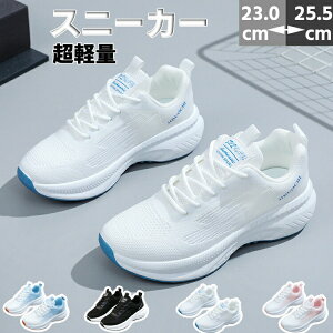 Xj[J[ fB[X jOV[Y ʋC y ~ X|[cV[Y Xb|  킢 WMO EH[LO ^C  JWA W s ʊw ʋ 