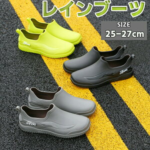 Cu[c Y l CV[Y Sh h JC o[u[c ₷ V[gCu[c V[gu[c V[g ZC y ~J ʋ ʊw _炩 IV O[