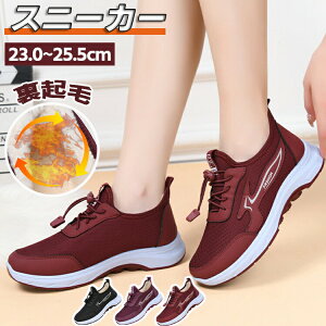 Xj[J[ fB[X [gu[c ~pC AEghA Xm[u[c hV[Y  ~ C h ےg h N ₷ 킢  ~ V EB^[u[c 