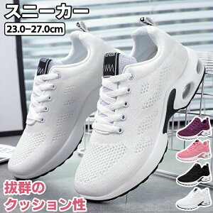 Xj[J[ X|[cV[Y WMO V[Y fB[X Y ʋC y ~ ^C L JWA  W d AEghA jp  ꂢ s ʊw ʋ 