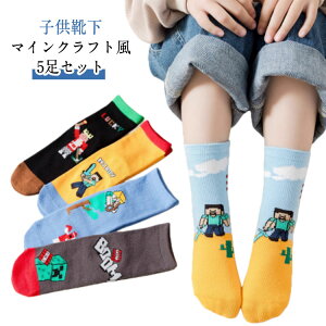 �L�����N�^�[�C�� �q���p�\�b�N�X �W���j�A �ʉ��p �ʊw �N���[�\�b�N�X �c�� �}�C���N���t�g�� �j�̎q ���̎q���p �C�� 5���Z�b�g �C�� �w���p�C�� �q���v���[���g �ȑf�� ���킢���f�U�C