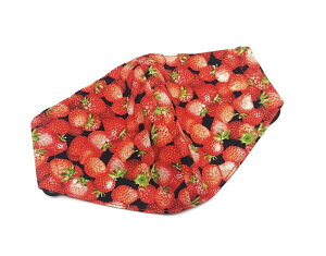 z}XNyC`Sς ubNzvg o[Vu {   􂦂 Rbgn  z nhCh lp Y fB[X }XNJo[ d}XN d