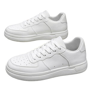 t[AtF Xj[J[ Y Xj[J[ C n ʊw w V[Y HC ~C C V[Y   lC gh JWA