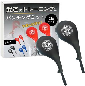 空手ミット パンチング ボクシング キックミット ハンド ストラップ付 2個セット