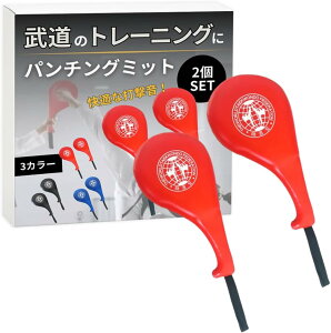 空手ミット パンチング ボクシング キックミット ハンド ストラップ付 2個セット