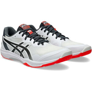 ROTE JAPAN LYTE FF 3 / [eWpCg FF 3 1053A054-104yASICSzAVbNX o[{[V[Y