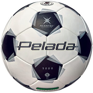 �����e�� �y���[�_5000�ŗp�i5�����jF5K5000 �ymolten�z�����e�� �T�b�J�[�{�[��