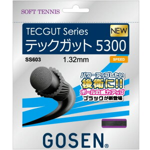 ylR|XzȂ3܂œ\zyS[Z GOSEN \tgejX Kbg z ebNKbg5300 (SS603-BK ubN) ejX XgO