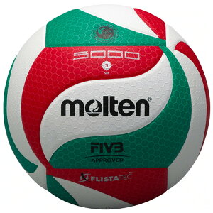 e tX^ebN o[{[5000(5) V5M5000 ymoltenze